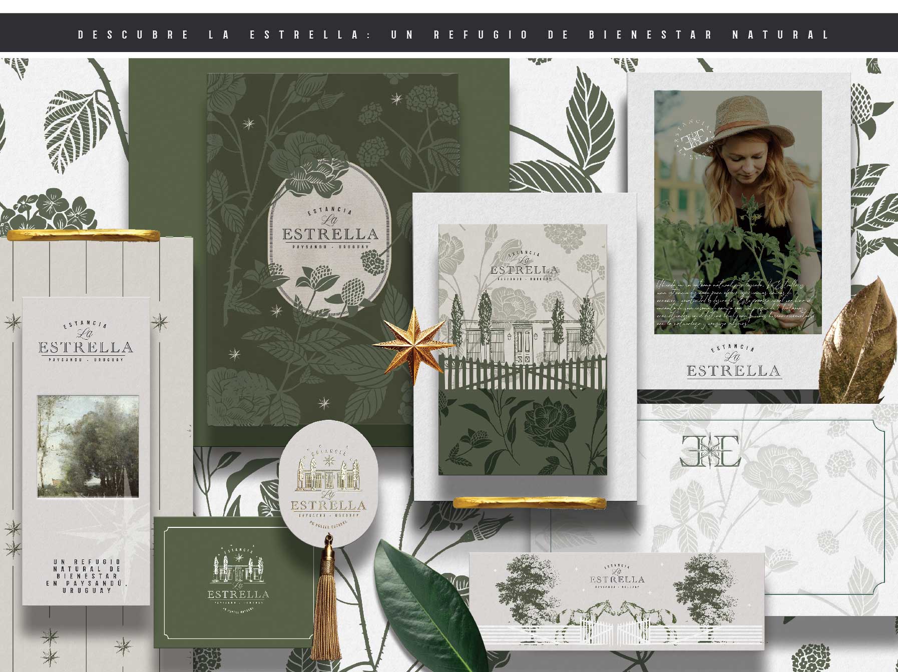 Read more about the article la estrella ing