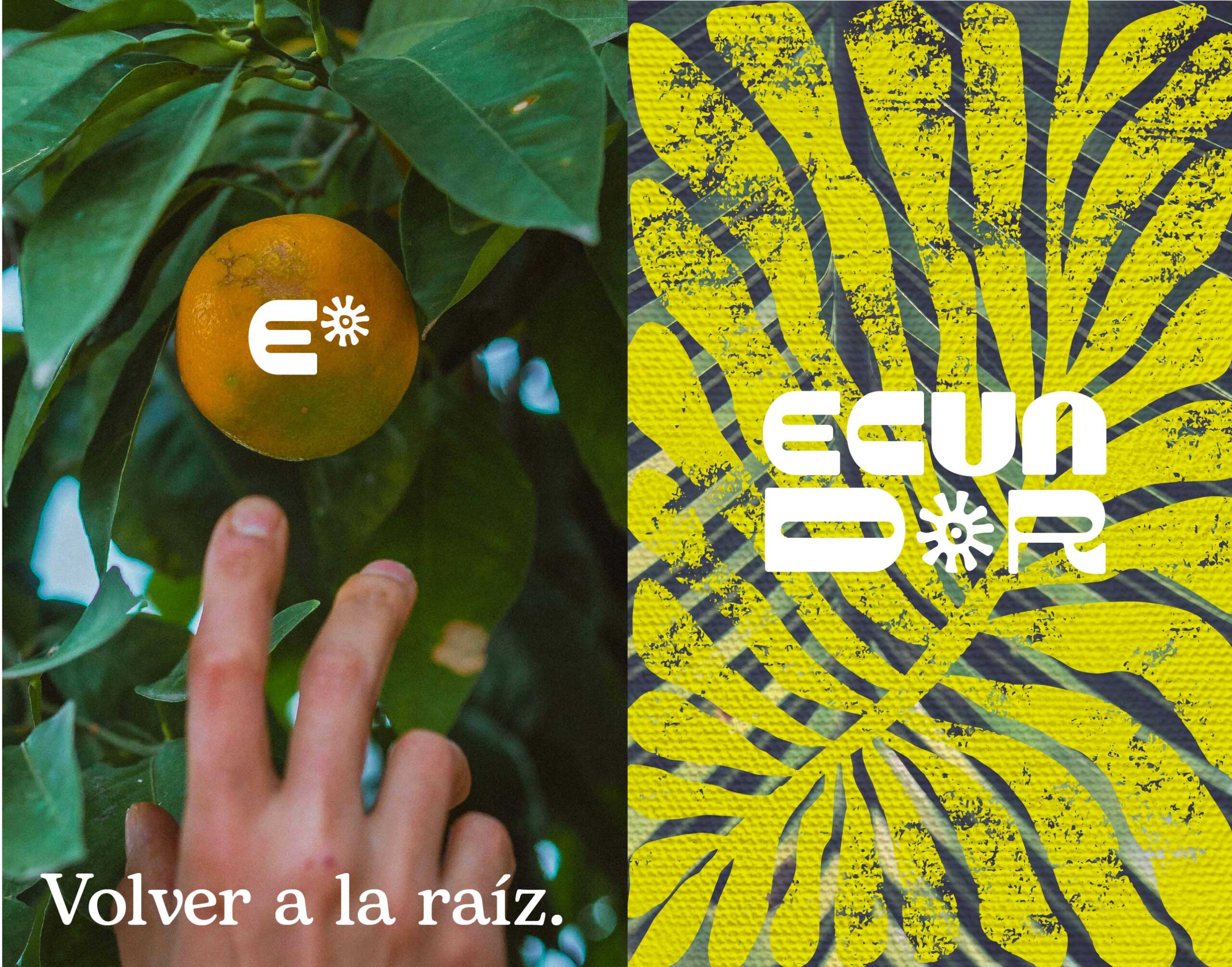 Lee más sobre el artículo ecuador esp